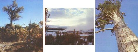 Oregon High Desert Homestead Image